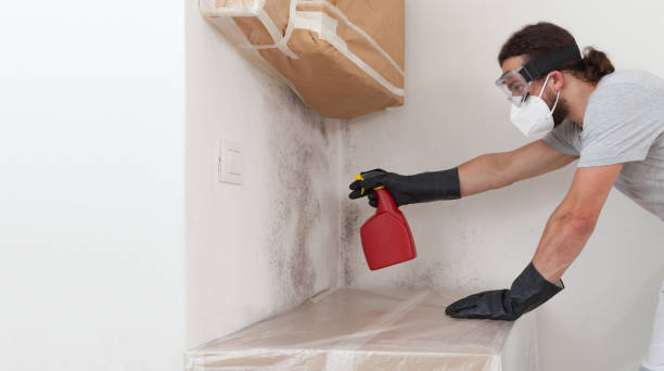 Professional Mold Removal technician working in Wheeling, IL