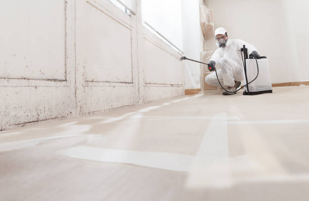 24/7 Emergency Mold Removal experts in Wheeling, IL